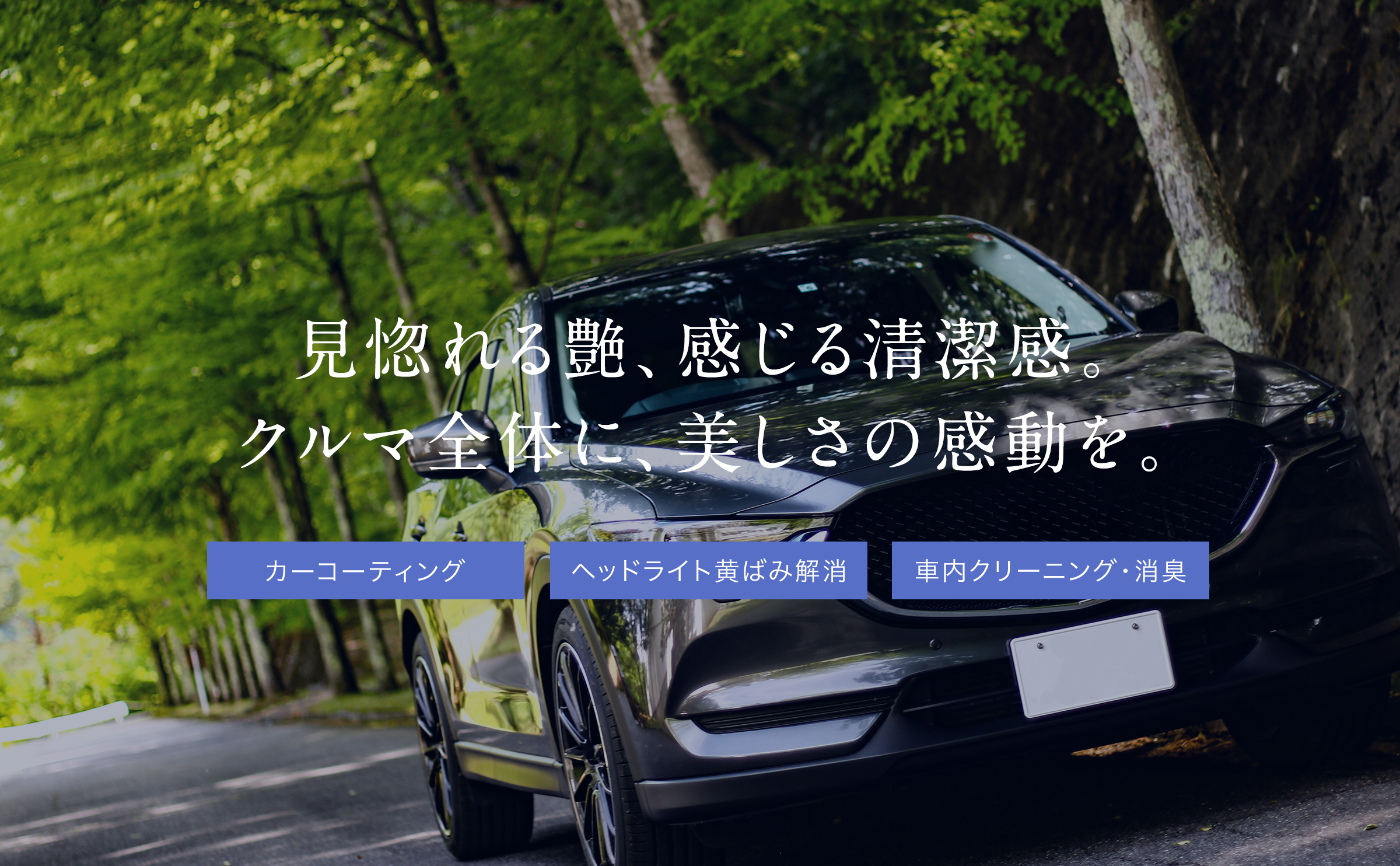 見惚れる艶、感じる清潔感。クルマ全体に、美しさの感動を。